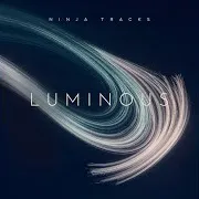 Ninja Tracks — Forever
